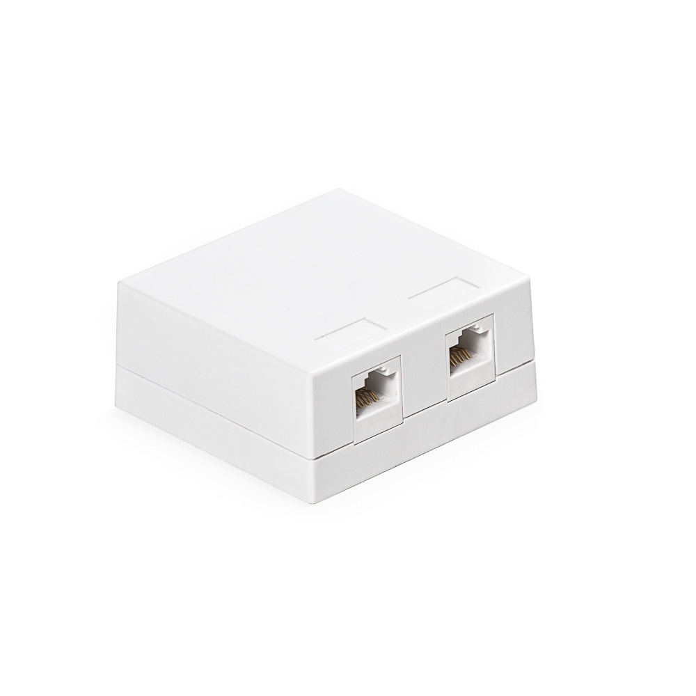 Surface box, Category 6, 2xRJ45/u, wall-mounted, keystones included