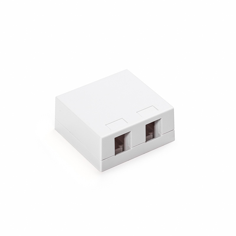 Surface box, 2 ports, wall-mounted, empty