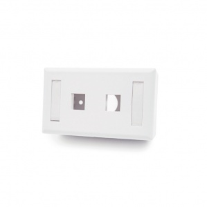 US style horizontal faceplate, 2 ports, wall-mounted, empty