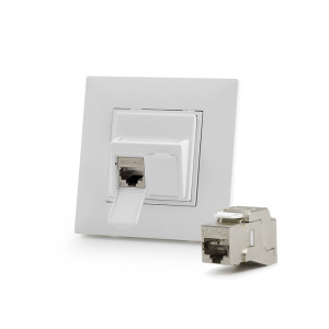 Legrand&reg; Nilo&eacute;TM&nbsp;STEP compatible outlet module, Category 6A, 2xRJ45/s, KEJ-C6A-S-10G keystones included